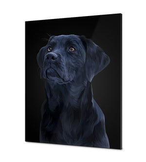 Premium Edition Portret