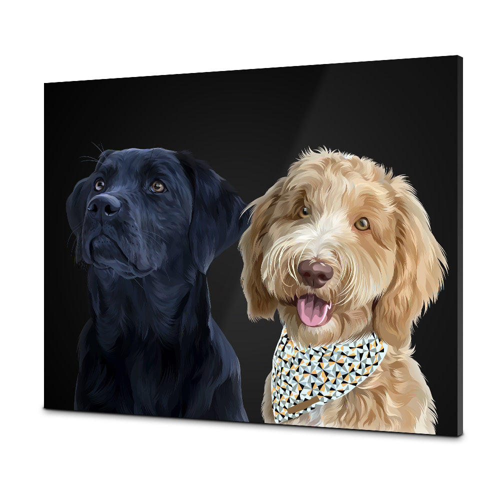 Twee-Zwart-Plexiglas-30x40 CM