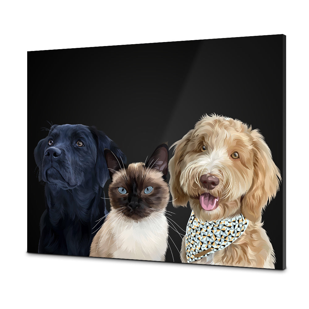 Drie-Zwart-Plexiglas-30x40 CM