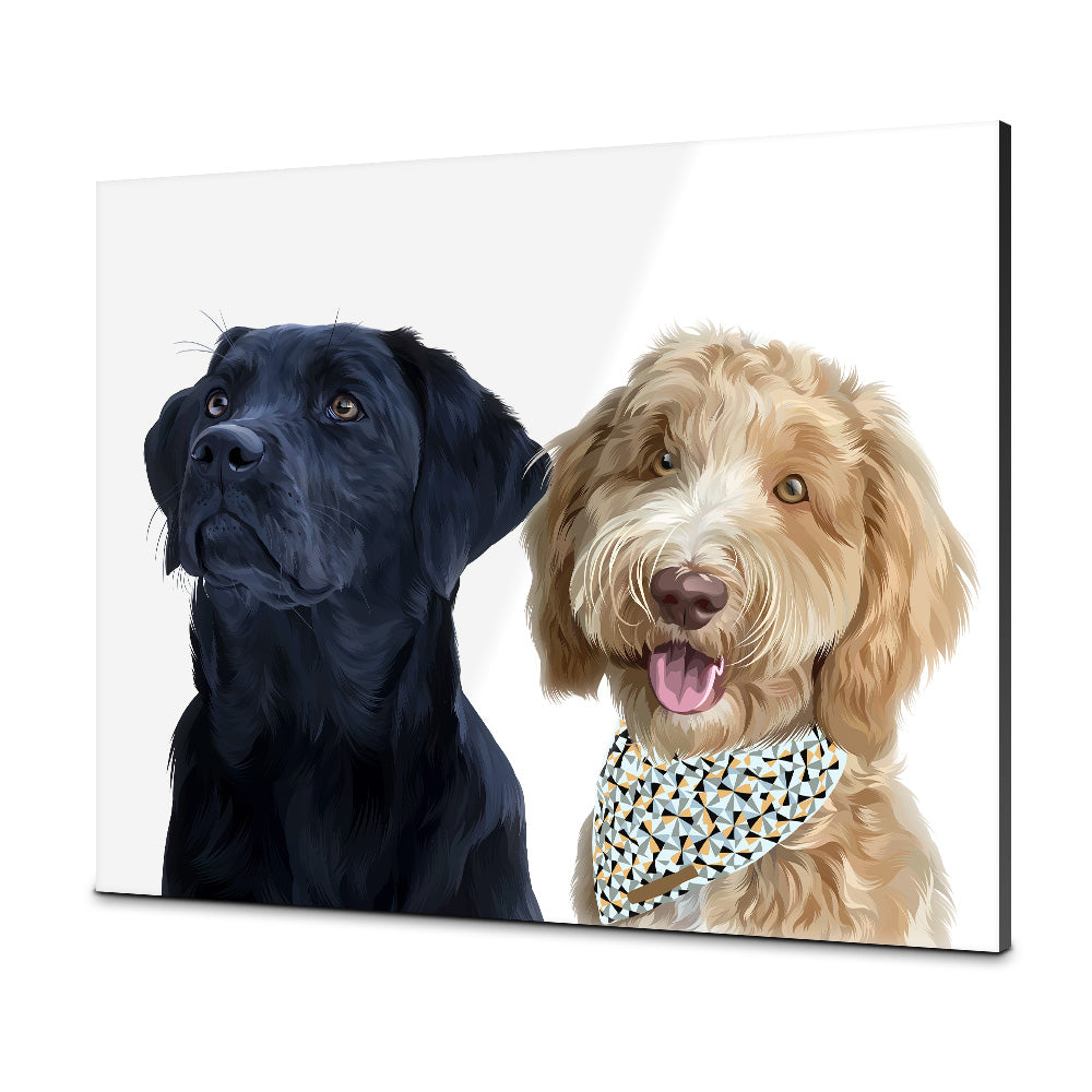 Twee-Wit-Plexiglas-30x40 CM