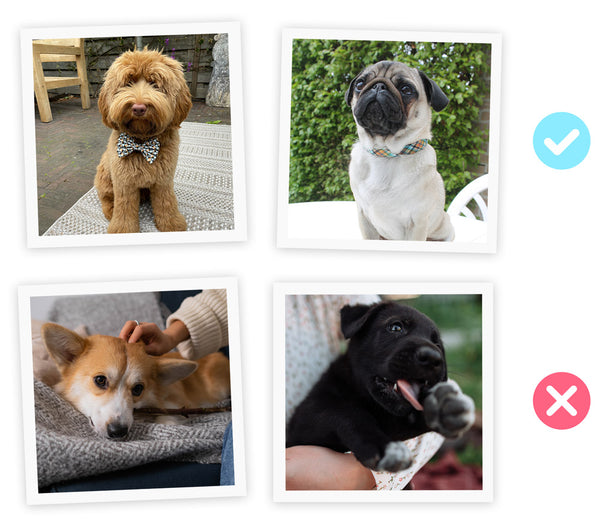 Welke foto werkt het best?