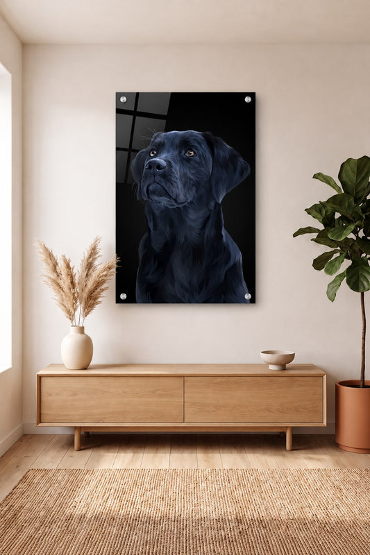 Premium Edition Portret